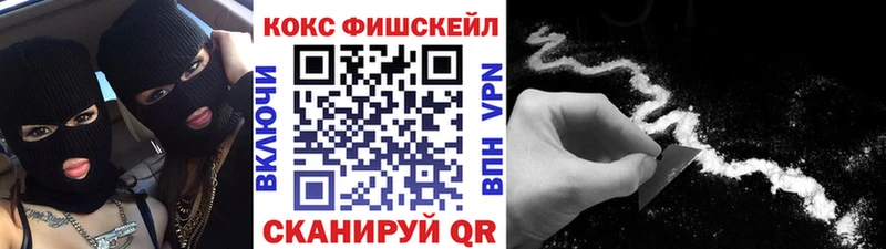 Купить  Славгород  Кокаин Fish Scale 