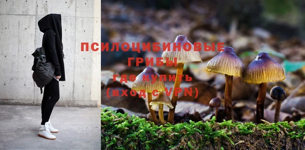 молекула духа Балабаново