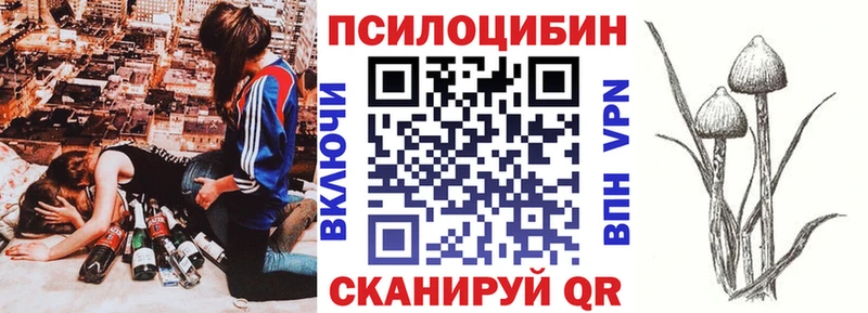 Купить закладки  Славгород  Галлюциногенные грибы Psilocybe 